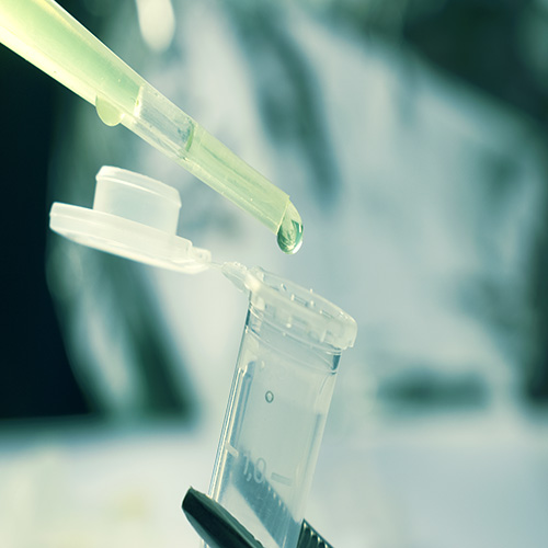 Pipette drop of stem cells