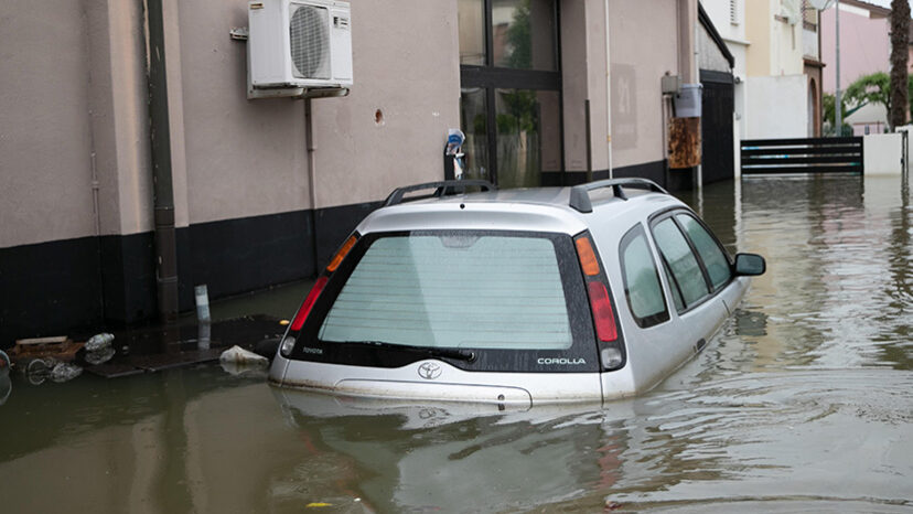 Nel Ravennate scarseggiano cibo e acqua