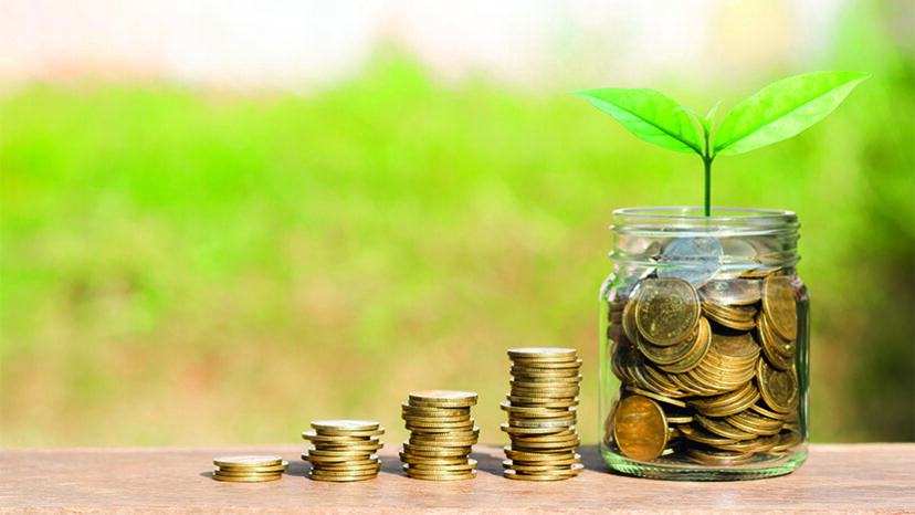 money saving and investing for business investment finance and banking concept. green plant leaves growth on row of coin stack on wood table with green blur nature background.
