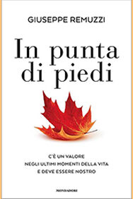 in punta di piedi500