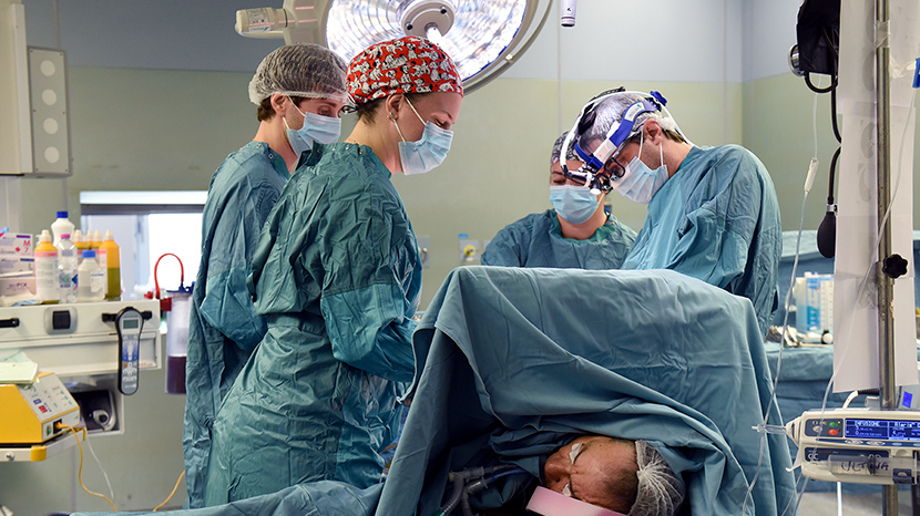 Ogni anno circa mille medici italiani richiedono il certificato di onorabilità professionale per lavorare all’estero, alimentando una fuga legata a stipendi bassi, scarsa sicurezza e qualità di vita. Tra il 2019 e il 2023 quasi 39mila medici hanno lasciato l’Italia, con un costo per lo Stato stimato in oltre 3,5 miliardi di euro per la loro formazione. Dal 2024, però, chi rientra può accedere a un regime fiscale agevolato che riduce l’imposizione sui redditi e incentiva il ritorno dei professionisti sanitari.