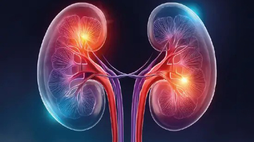 Gestione integrata del paziente con diabete e malattia renale cronica