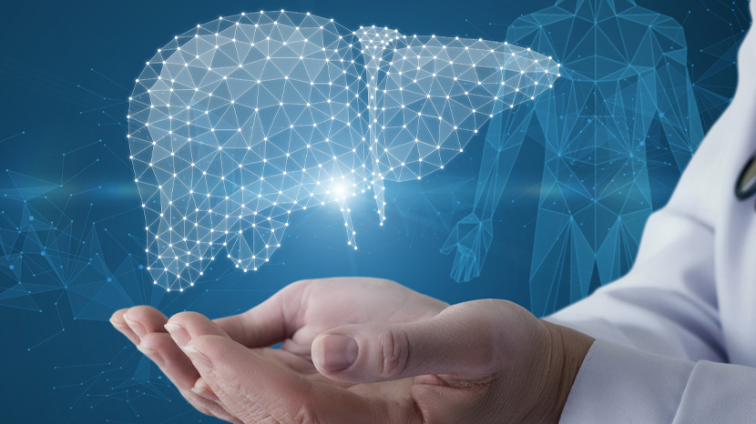 La medicina rigenerativa apre nuove prospettive terapeutiche puntando sulla riparazione biologica dei tessuti: dalle terapie cellulari per le lesioni del midollo spinale sviluppate dalla startup italiana Hemera, fino agli organoidi renali creati in laboratorio dalla University of Southern California. Due frontiere della ricerca che potrebbero cambiare il trattamento di gravi patologie neurologiche e renali.
