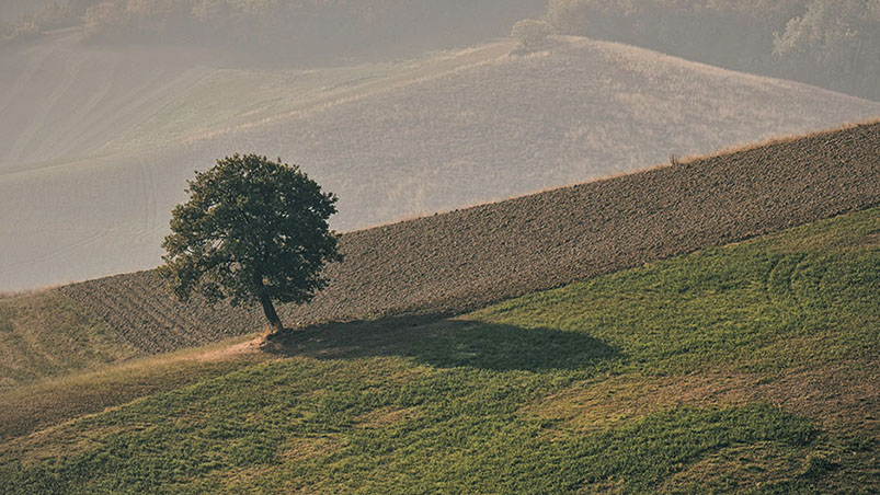 L'ordinata solitudine delle colline emiliane