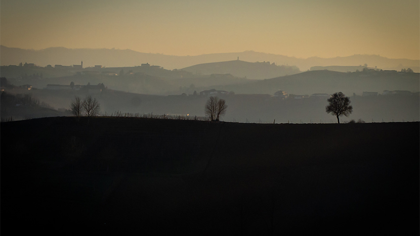 L'armonia del Monferrato